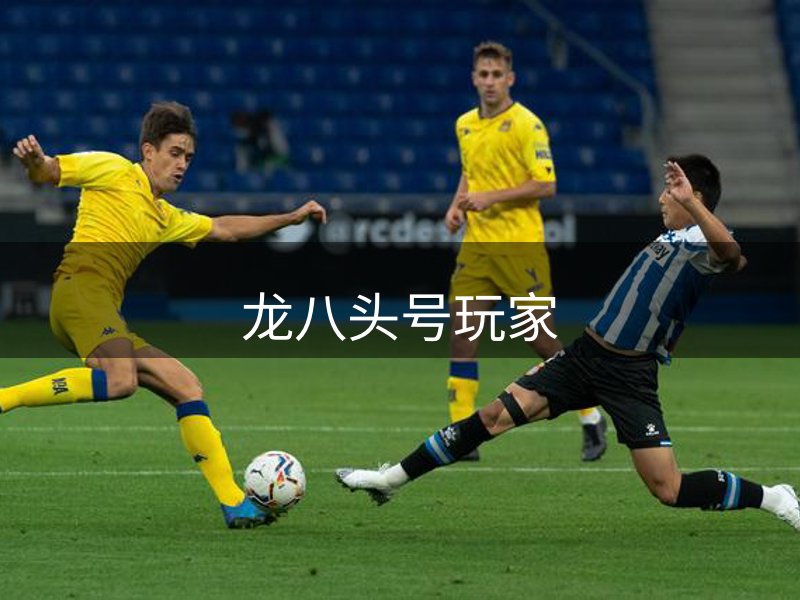关于平台
